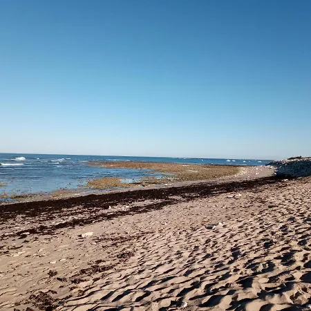 Un Petit Chalet En Vendee Soullans
