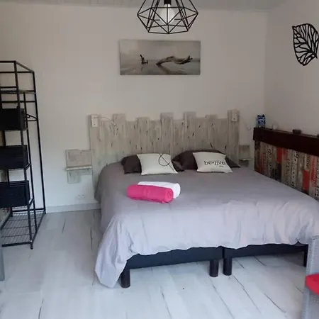 Un Petit Chalet En Vendee Шале Soullans